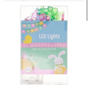 Easter LED lights 🐰